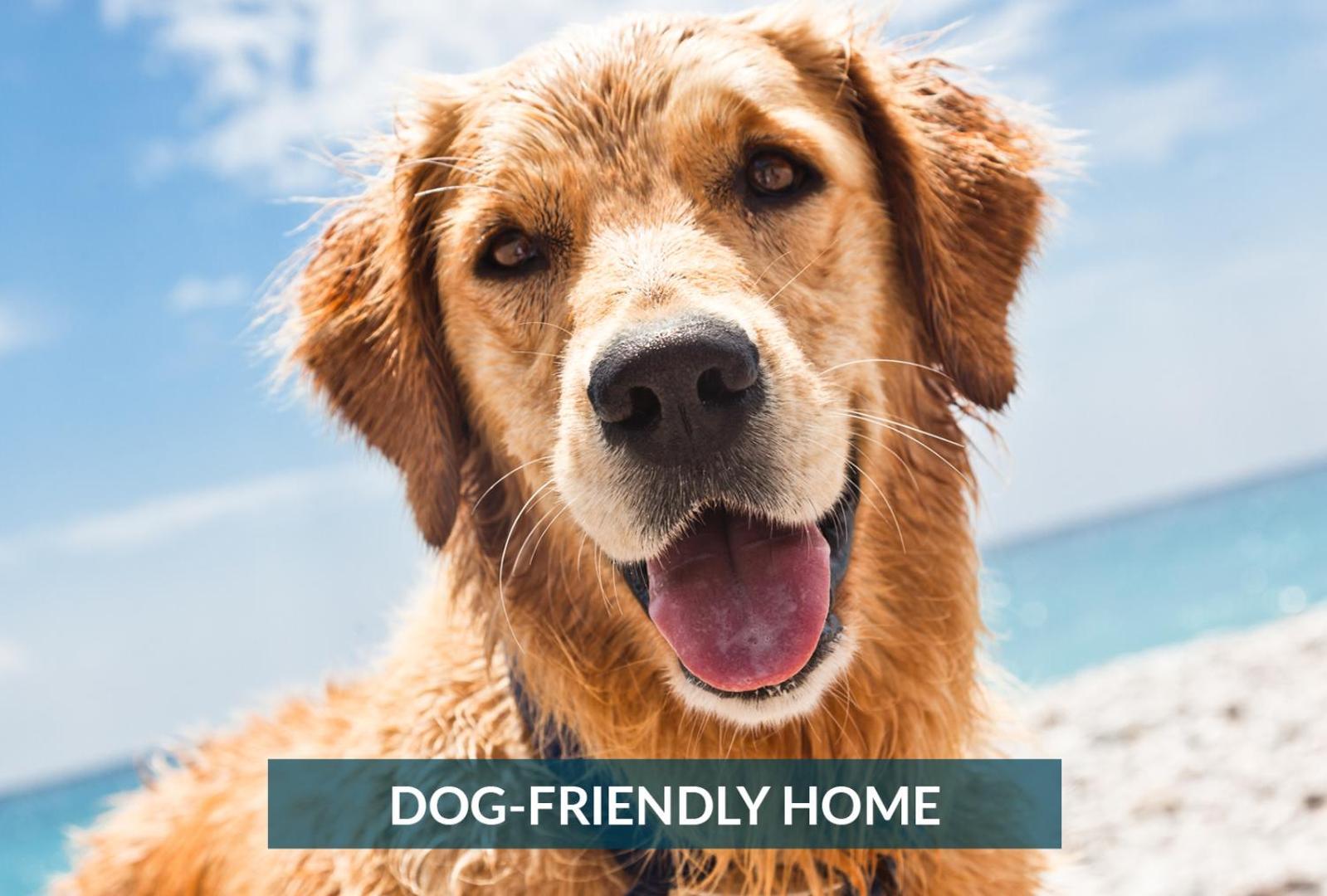 5508 Southern Comfort Dog Friendly Shared Pool Kill Devil Hills Ngoại thất bức ảnh